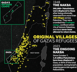 visualize palestine