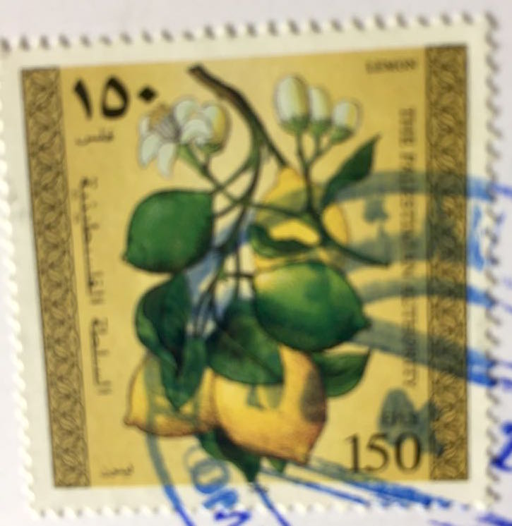 Gaza stamps - lemon
